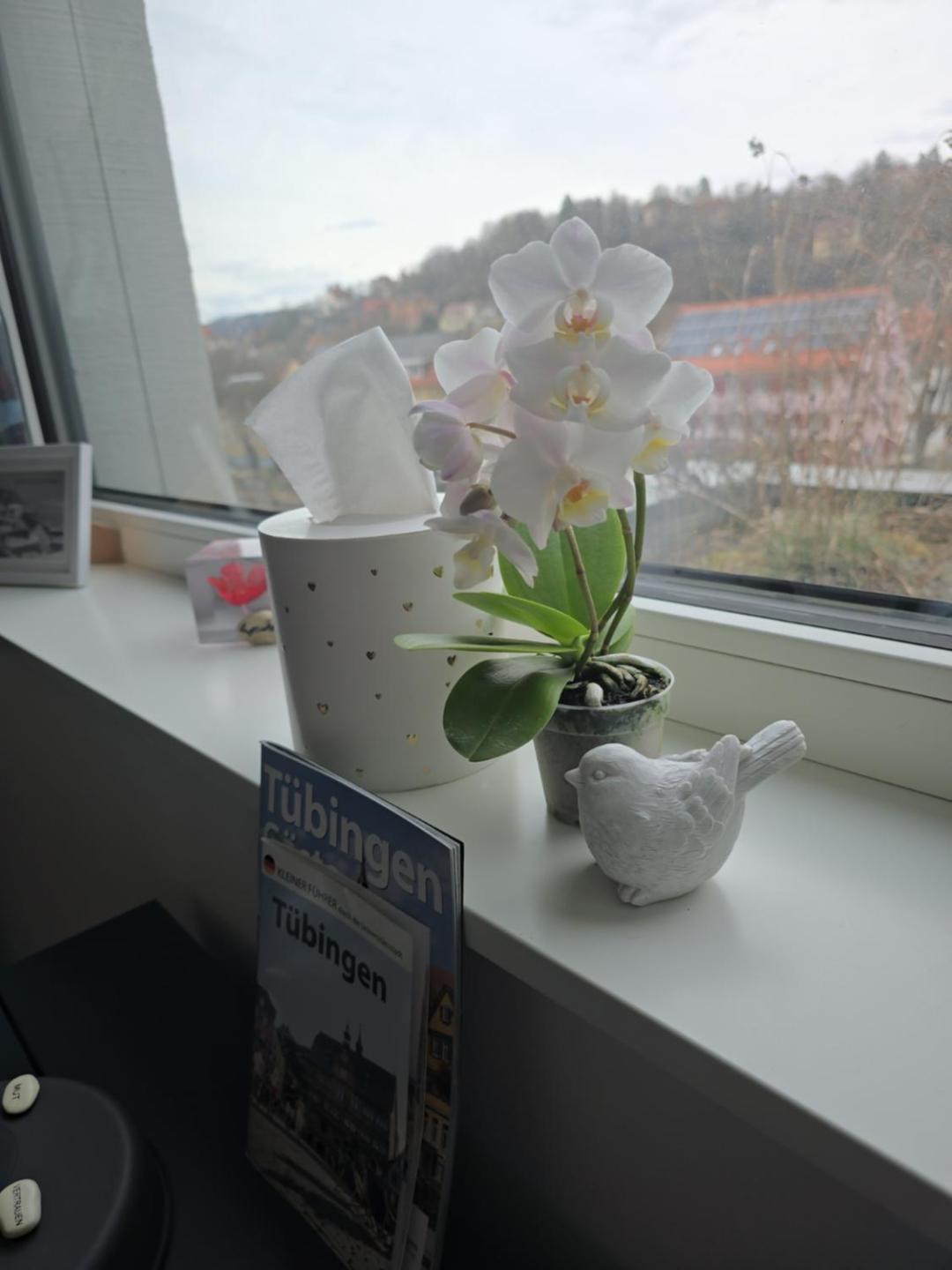 Stadtnahes Gaestezimmer Im Penthouse Bei Esi Тюбинген Экстерьер фото